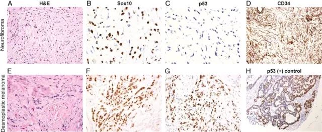 EBET易博·(中国集团)首页官网