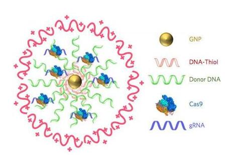 EBET易博·(中国集团)首页官网