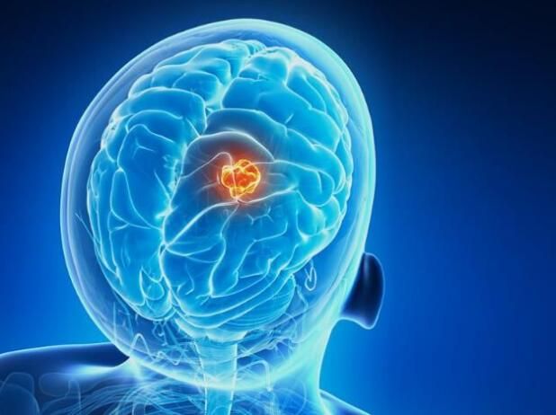 EBET易博·(中国集团)首页官网