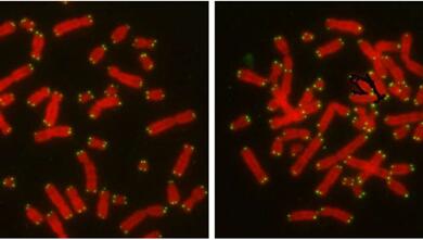EBET易博·(中国集团)首页官网