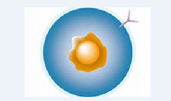 EBET易博·(中国集团)首页官网