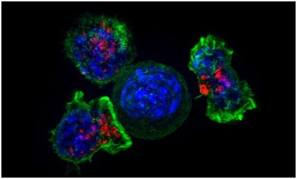 EBET易博·(中国集团)首页官网