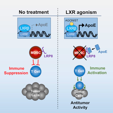 EBET易博·(中国集团)首页官网