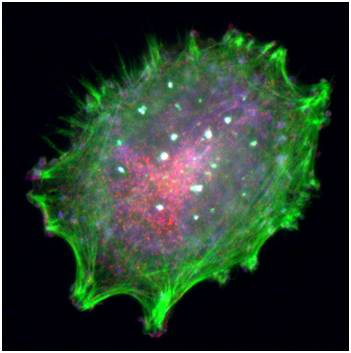 EBET易博·(中国集团)首页官网