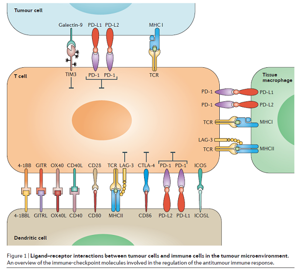 EBET易博·(中国集团)首页官网