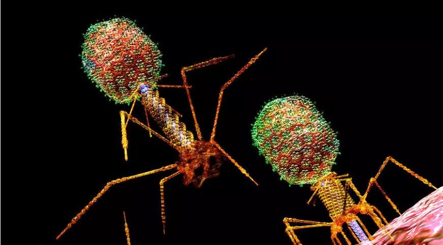 EBET易博·(中国集团)首页官网