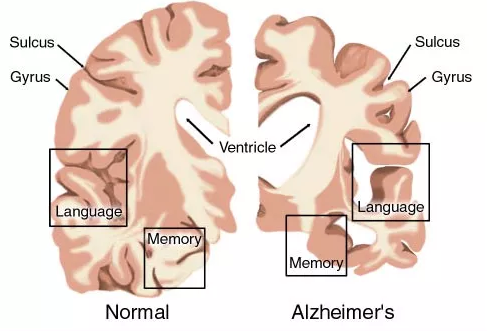 EBET易博·(中国集团)首页官网
