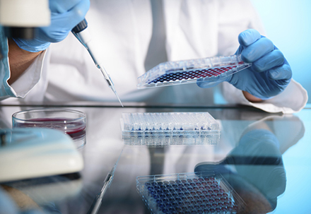 289目录海内特有品种一致性评价抱团才有戏？