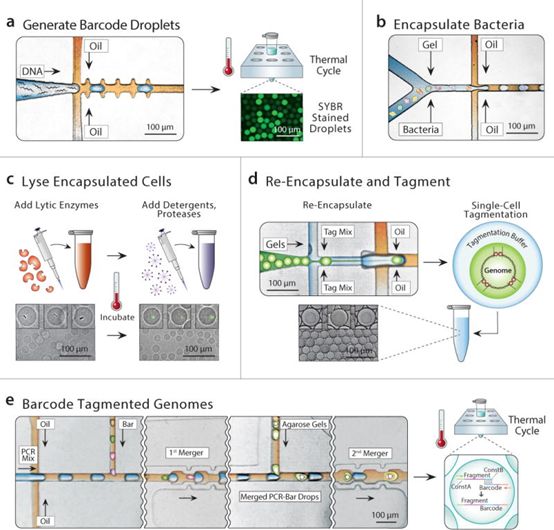 EBET易博·(中国集团)首页官网