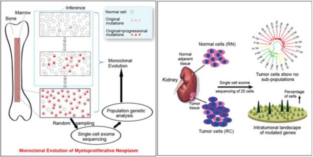 EBET易博·(中国集团)首页官网