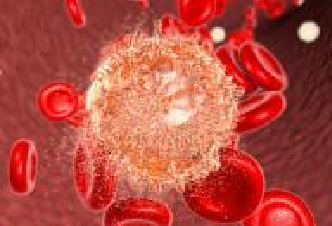 EBET易博·(中国集团)首页官网