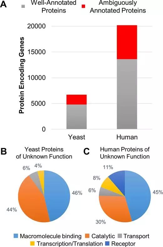 EBET易博·(中国集团)首页官网
