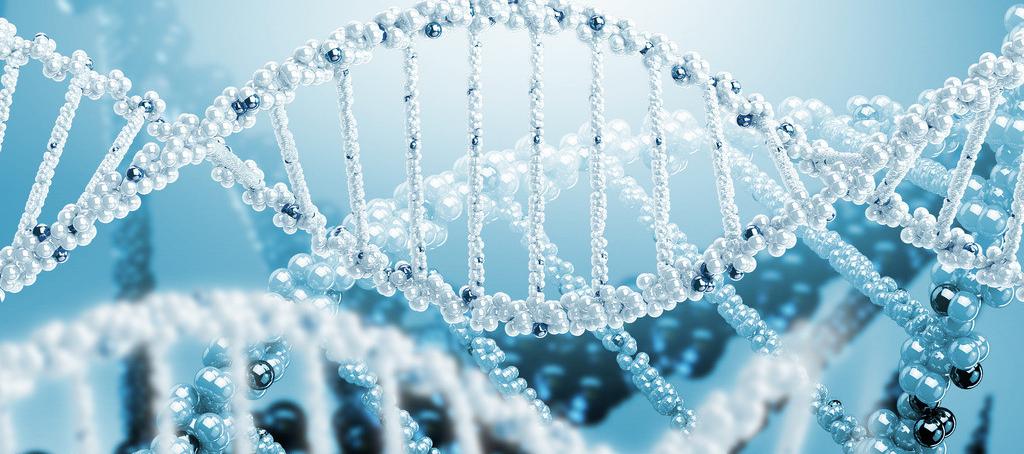 浅谈EBET易博抗体药物PK剖析要领学设计的思量要点