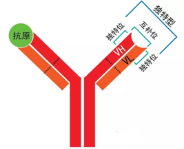 EBET易博·(中国集团)首页官网