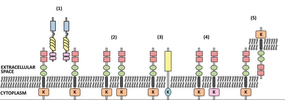 EBET易博·(中国集团)首页官网