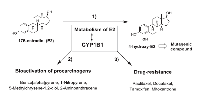EBET易博·(中国集团)首页官网