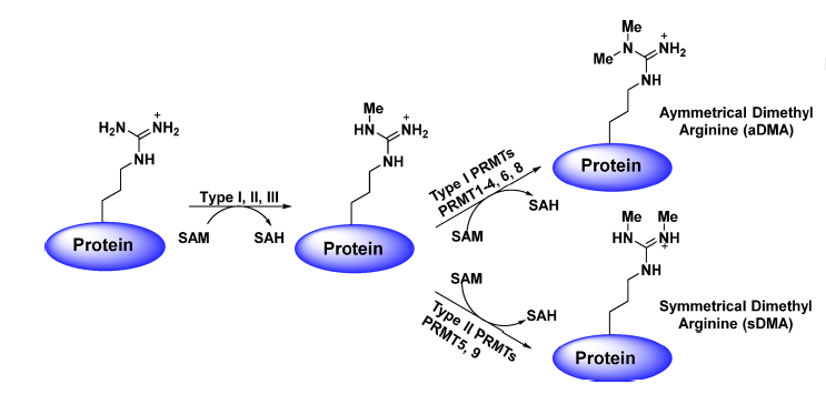 EBET易博·(中国集团)首页官网