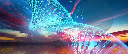 EBET易博·(中国集团)首页官网