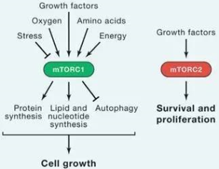 EBET易博·(中国集团)首页官网