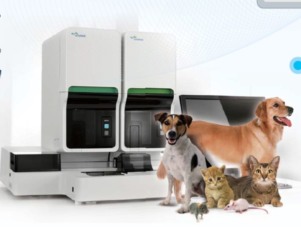 EBET易博·(中国集团)首页官网