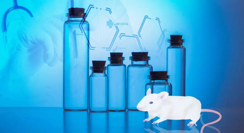 EBET易博-您理想的DMPK研究同伴