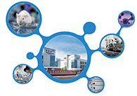 科创板首家CRO企业EBET易博获准注册