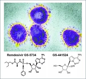 基于细胞因子风暴和免疫炎症反映综合征，许多免疫相关靶点也可以列为冠状病毒的靶点。。。