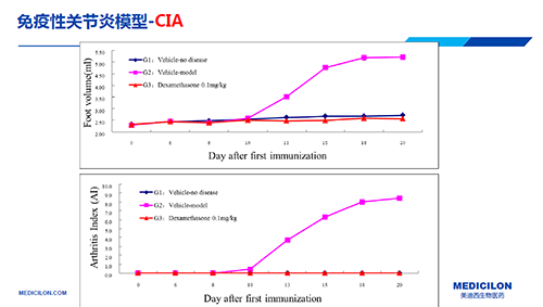 免疫性枢纽炎模子