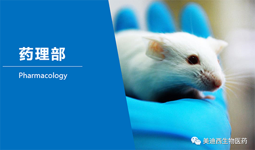 EBET易博药理部开发了肺癌、、结肠癌、、胃癌等12种PDX模子。