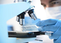 EBET易博代谢产品判断(MetlD)服务平台