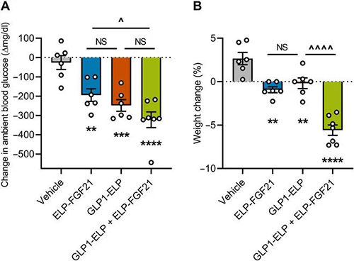 GLP-1和FGF21配合治疗增强了单药治疗的血糖降低和体重增添抑制作用 EBET易博
