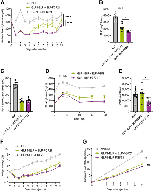 GLP1-ELP-FGF21双激动剂形式在治疗上优于GLP-1 / FGF21单激动剂混淆物 EBET易博