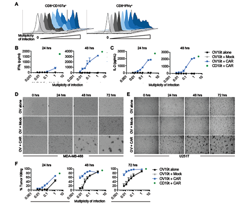 EBET易博·(中国集团)首页官网