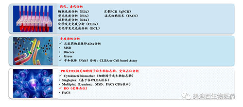 EBET易博生物手艺药物剖析部服务内容
