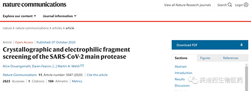 研究团队设计出与COVID-19反抗的刷新且功效更强的化合物