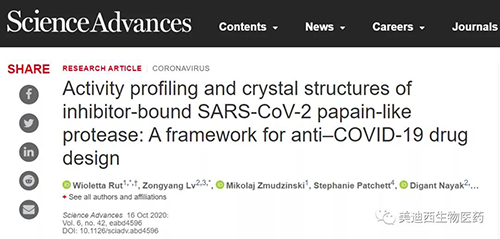 研究者展现了控制PLpro底物特异性的分子规则
