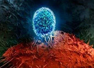 Nature：：：BATF3改善T细胞影象应答，，，有望改善免疫疗法的疗效