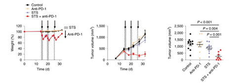 与比照组及仅使用PD-1疗法的模子小鼠比照，，，接纳短期饥饿配合PD-1疗法的393P细胞同源移植肿瘤小鼠体内的肿瘤体积有了显着的缩短。。。