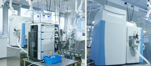 EBET易博DMPK剖析服务