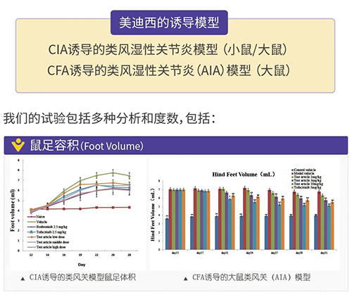 EBET易博诱导的类风湿性枢纽炎模子