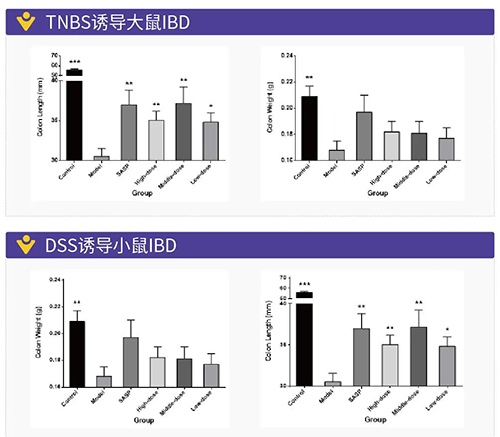 TNBS诱导的大鼠IBD、、DSS诱导的大鼠IBD