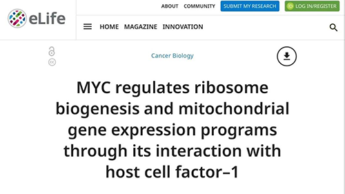 可以“融化”肿瘤的卵白质，你一定没有听说过！！！