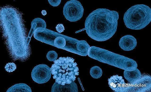 20分钟，，大大都细菌都可以繁衍一代 EBET易博生物医药