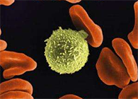 Science子刊：一种FDA批准的抗腹泻药物可有用反抗化疗的耐药性