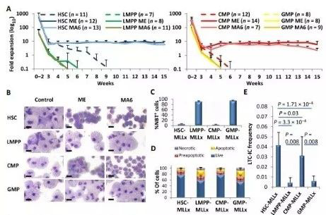 Science子刊：：：一种FDA批准的抗腹泻药物可有用反抗化疗的耐药性 EBET易博生物医药