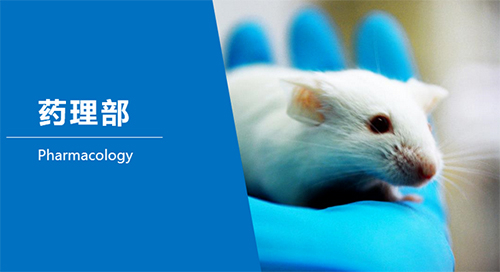EBET易博临床前研究-药理部