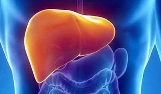 【EBET易博助力】NASH领域新希望！！！海普丁HPD001即将在美启动临床试验