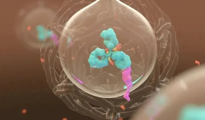 美研 | EBET易博带您相识ADC玄妙之处