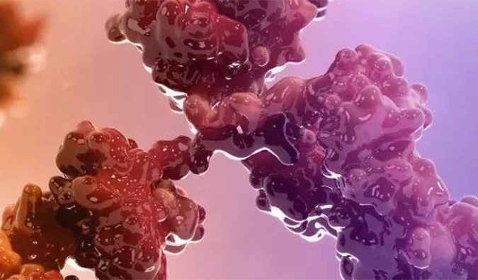 连摘3果！！10天内，，EBET易博助力的3个双特异性抗体治疗性药物获批.jpg