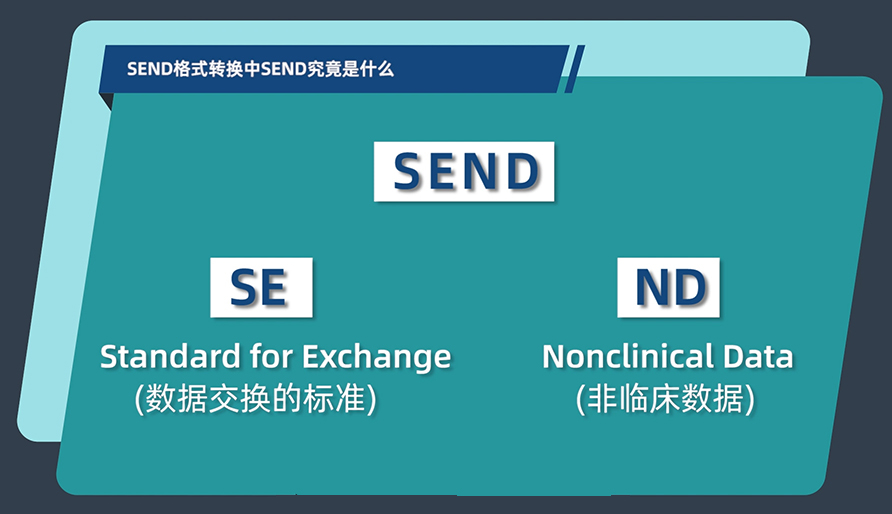 SEND名堂转换中的SEND事实是什么？？？
